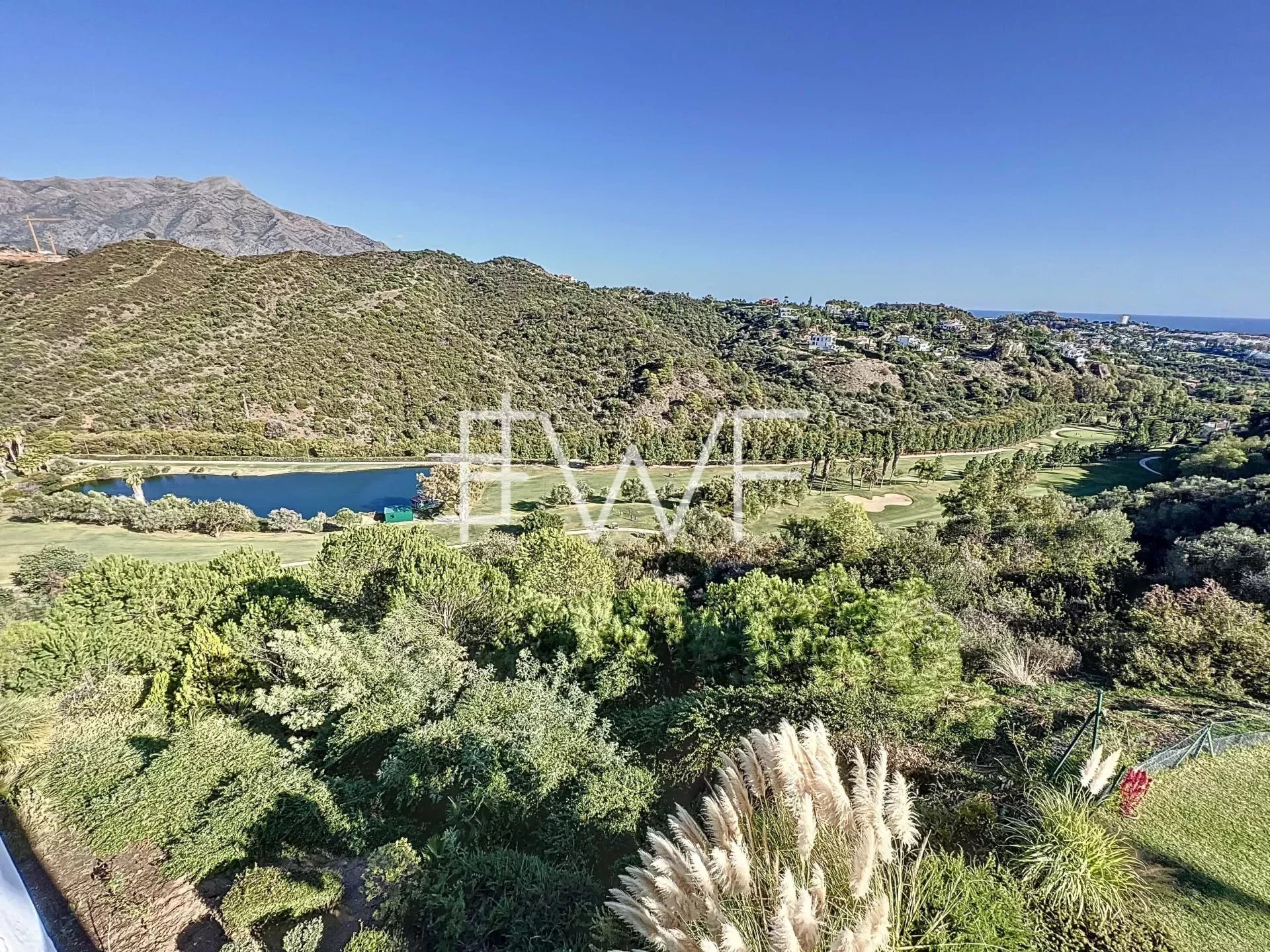 Property view 3